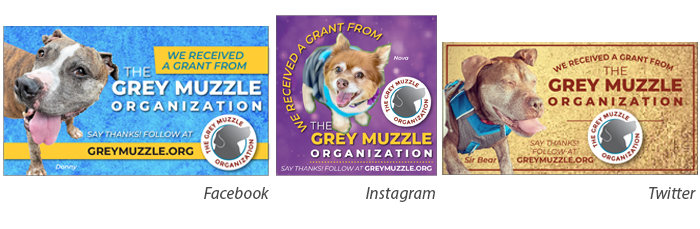 Grey Muzzle social media